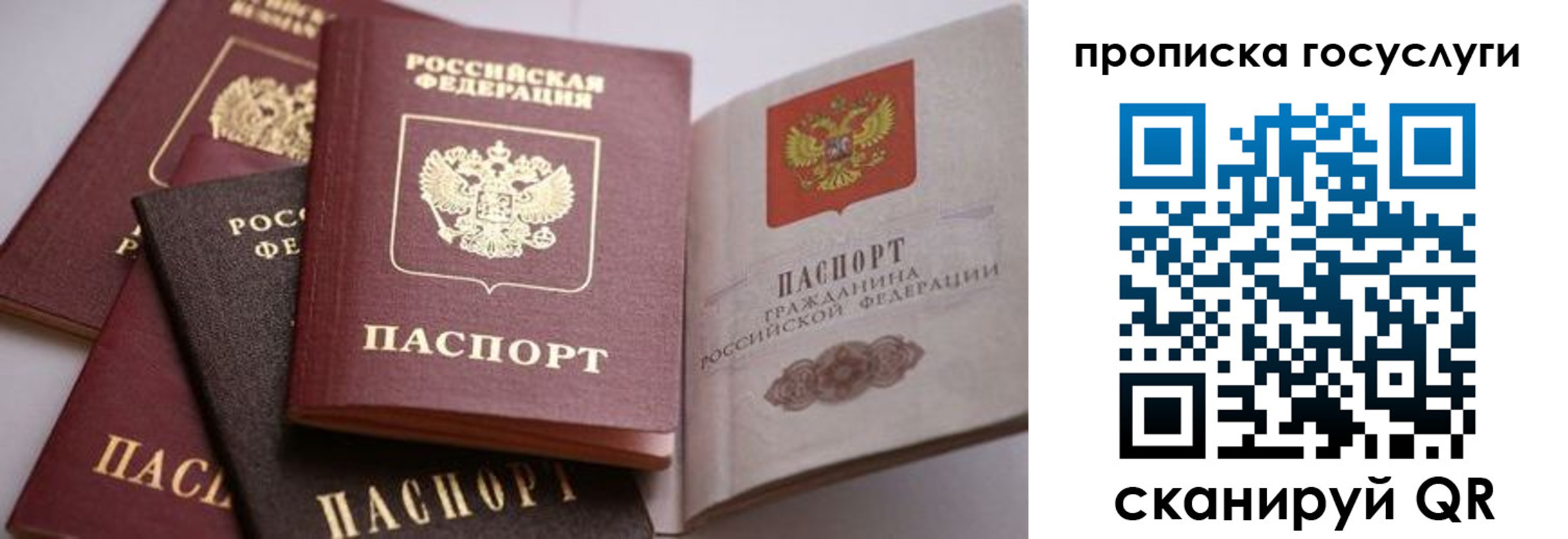 прописка иностранных граждан в Электростали