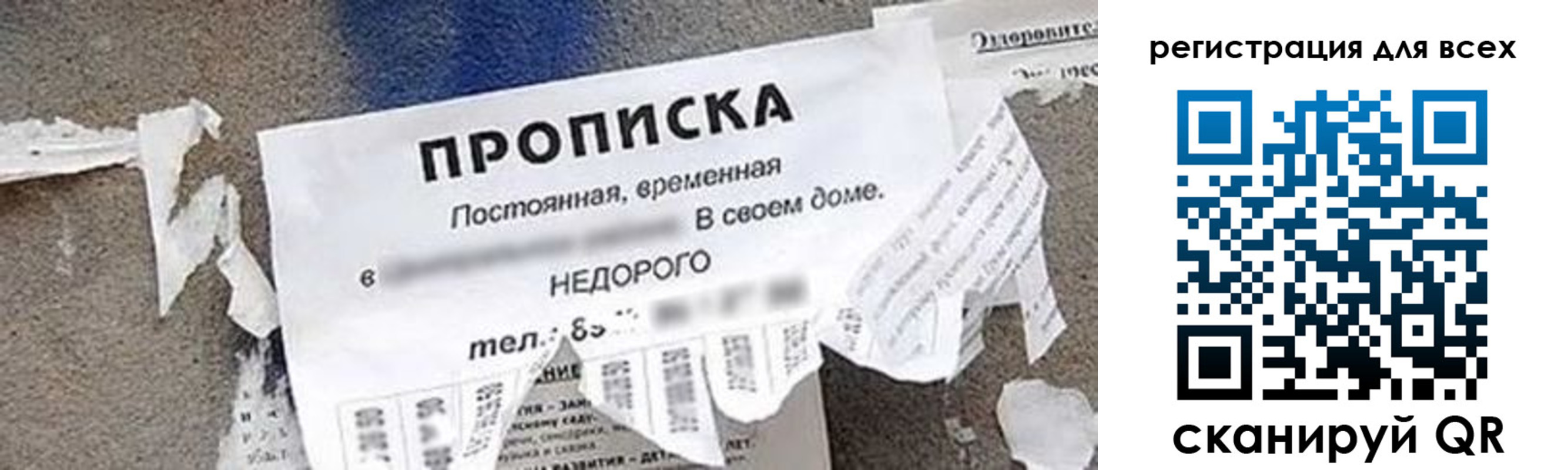 прописка поиск в Электростали